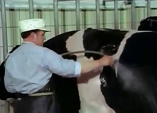 Disgusting amateur bestiality sex with a pig