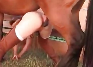 Filthy and sweet amateur bestiality XXX action with a pony