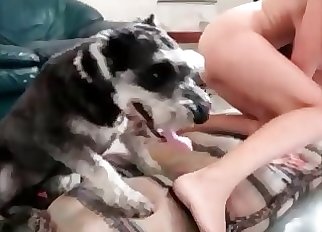 Fat amateur loves railing dog dicks