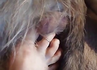 Incredible close-up bestiality